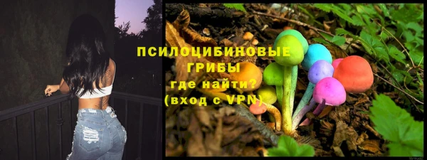 соль ск Алексеевка