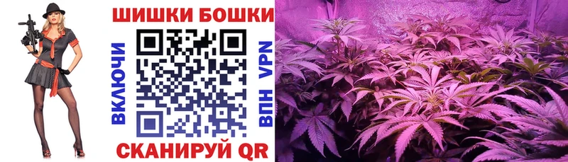 Канабис семена  нарко площадка телеграм  Новоаннинский 